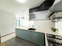 Blk 1E The Pinnacle@Duxton (Bukit Merah), HDB 4 Rooms #507970951